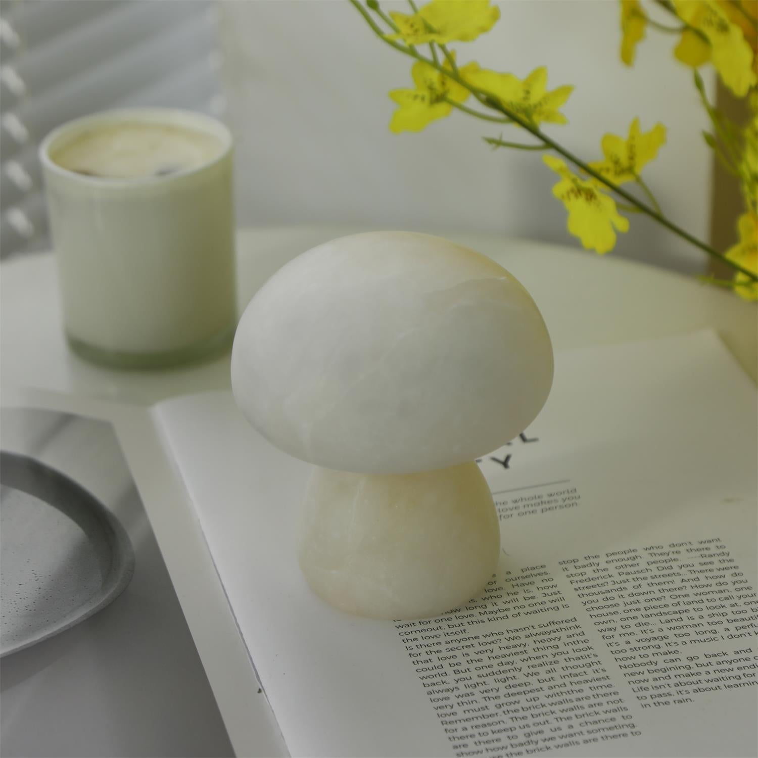 Fungi Table Lamp (built-in battery)