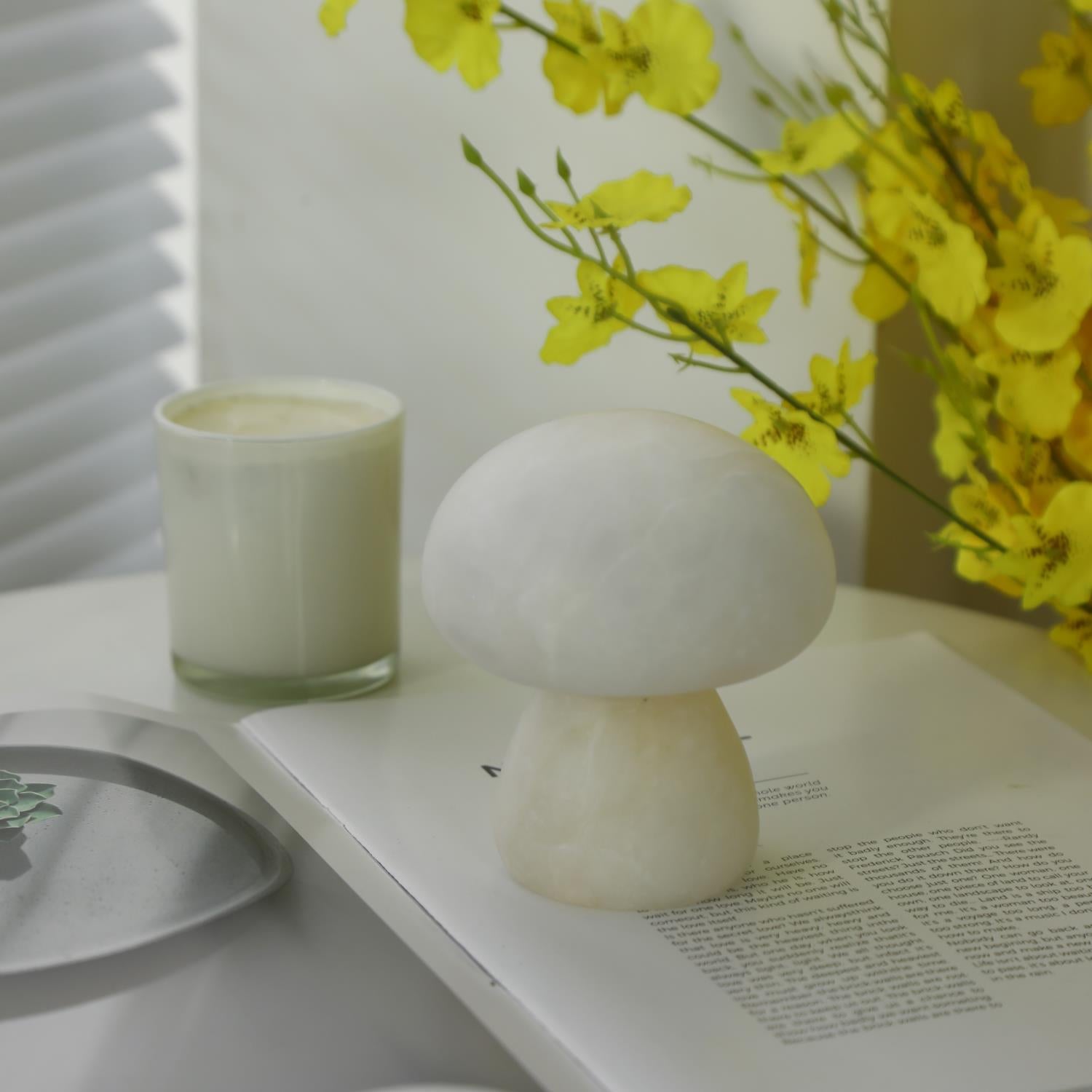 Fungi Table Lamp (built-in battery)
