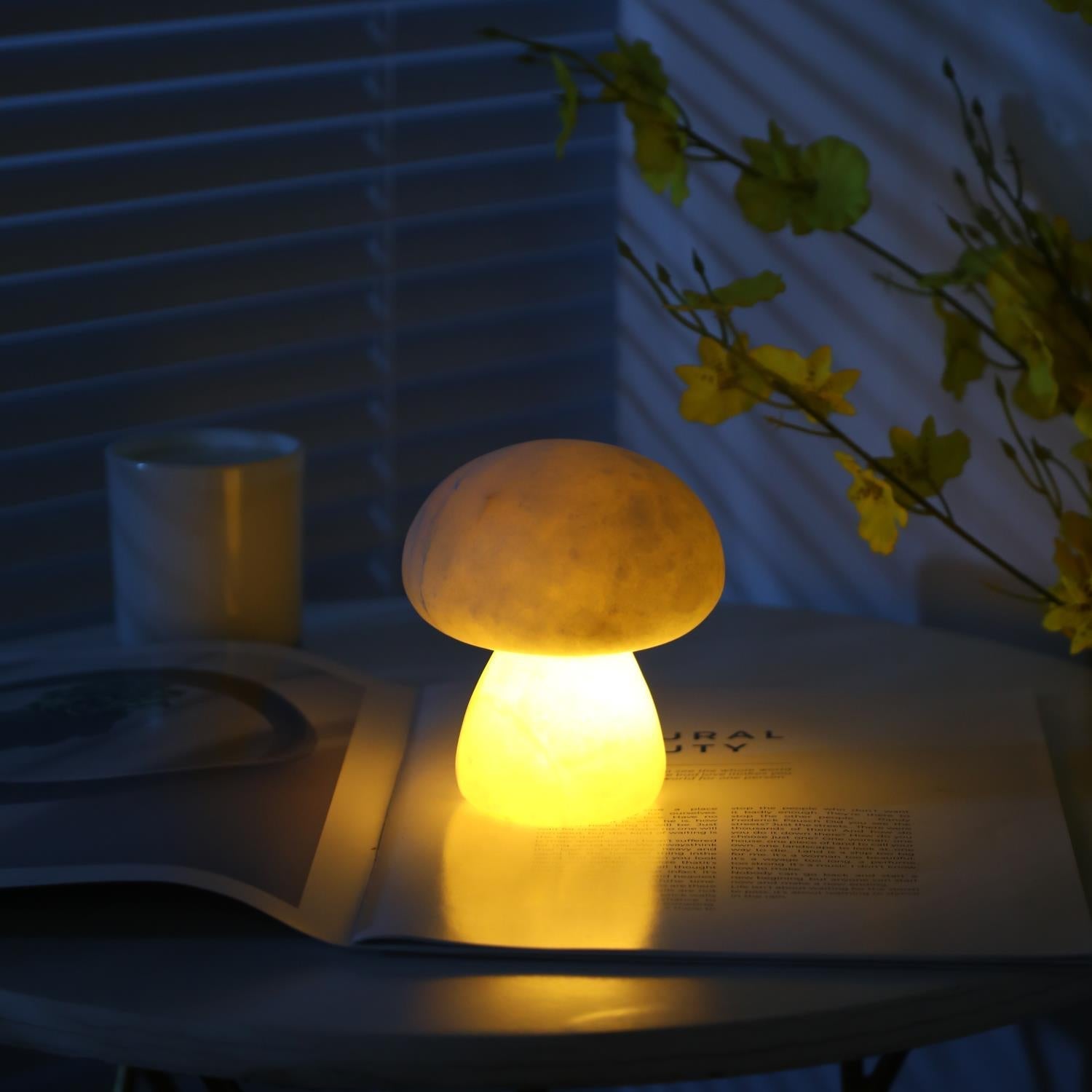 Fungi Table Lamp (built-in battery)