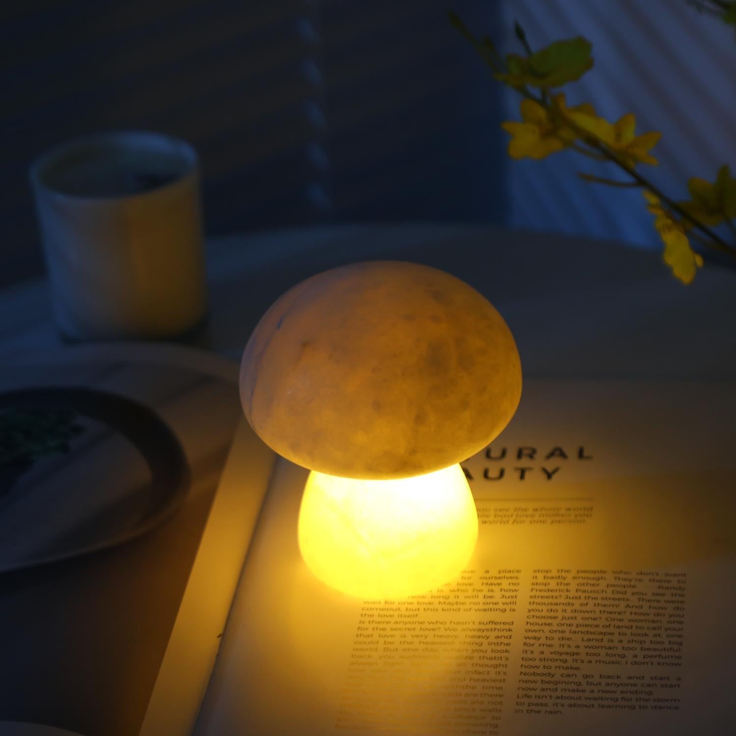 Fungi Table Lamp (built-in battery)