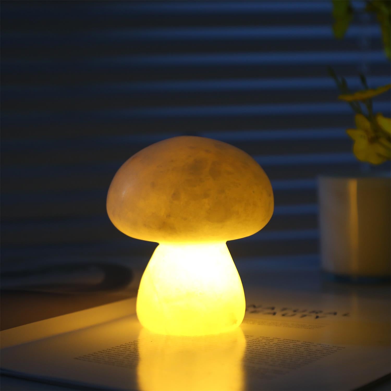 Fungi Table Lamp (built-in battery)