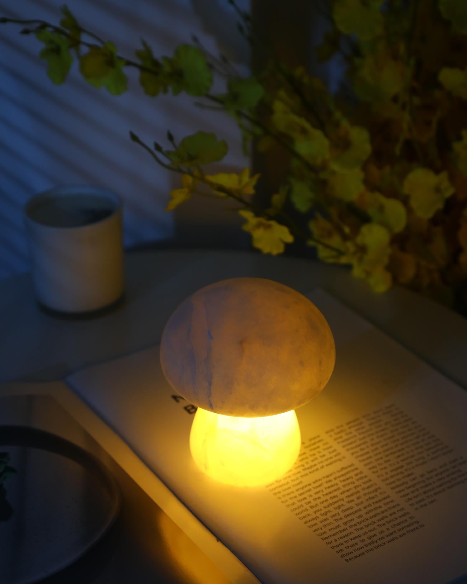 Fungi Table Lamp (built-in battery)