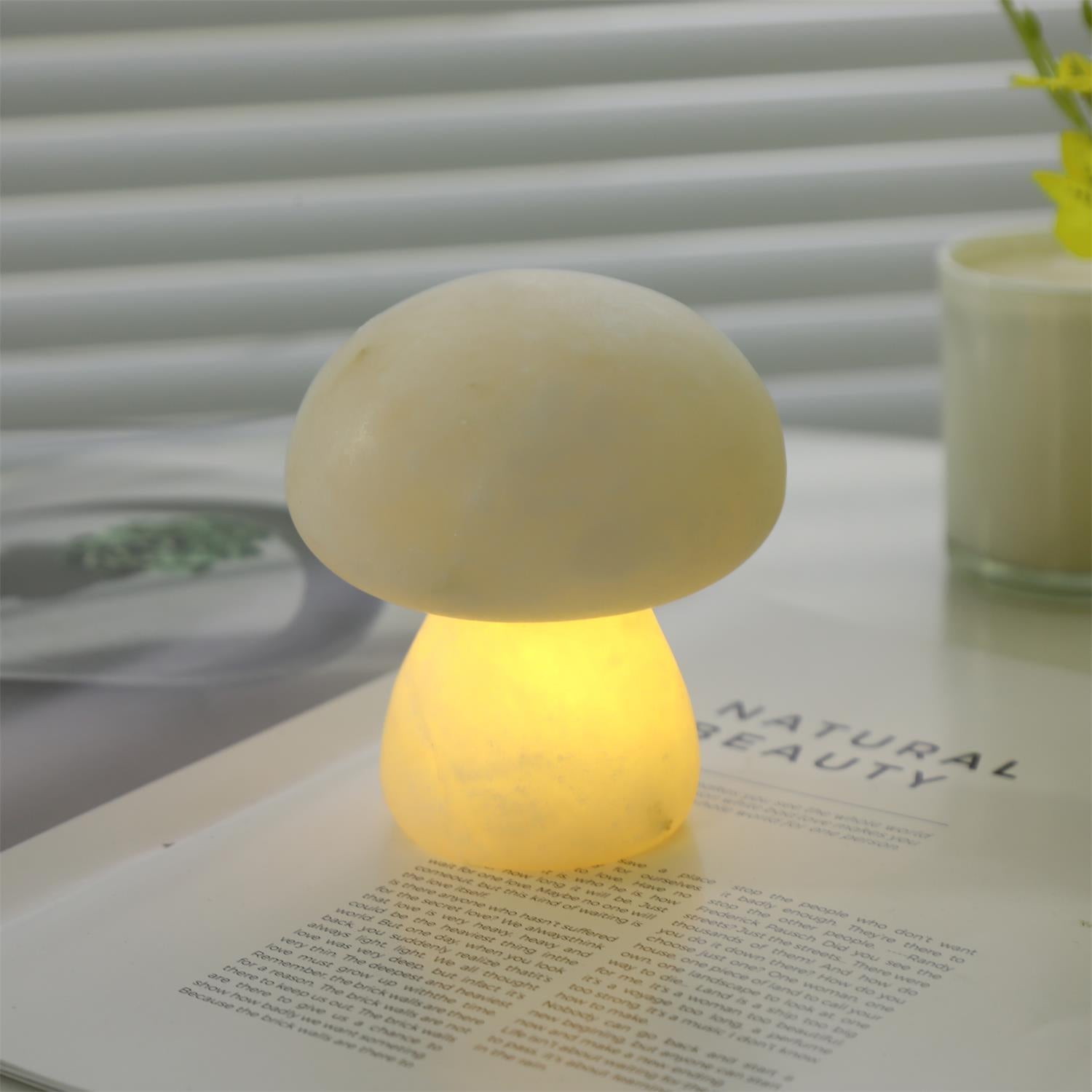 Fungi Table Lamp (built-in battery)