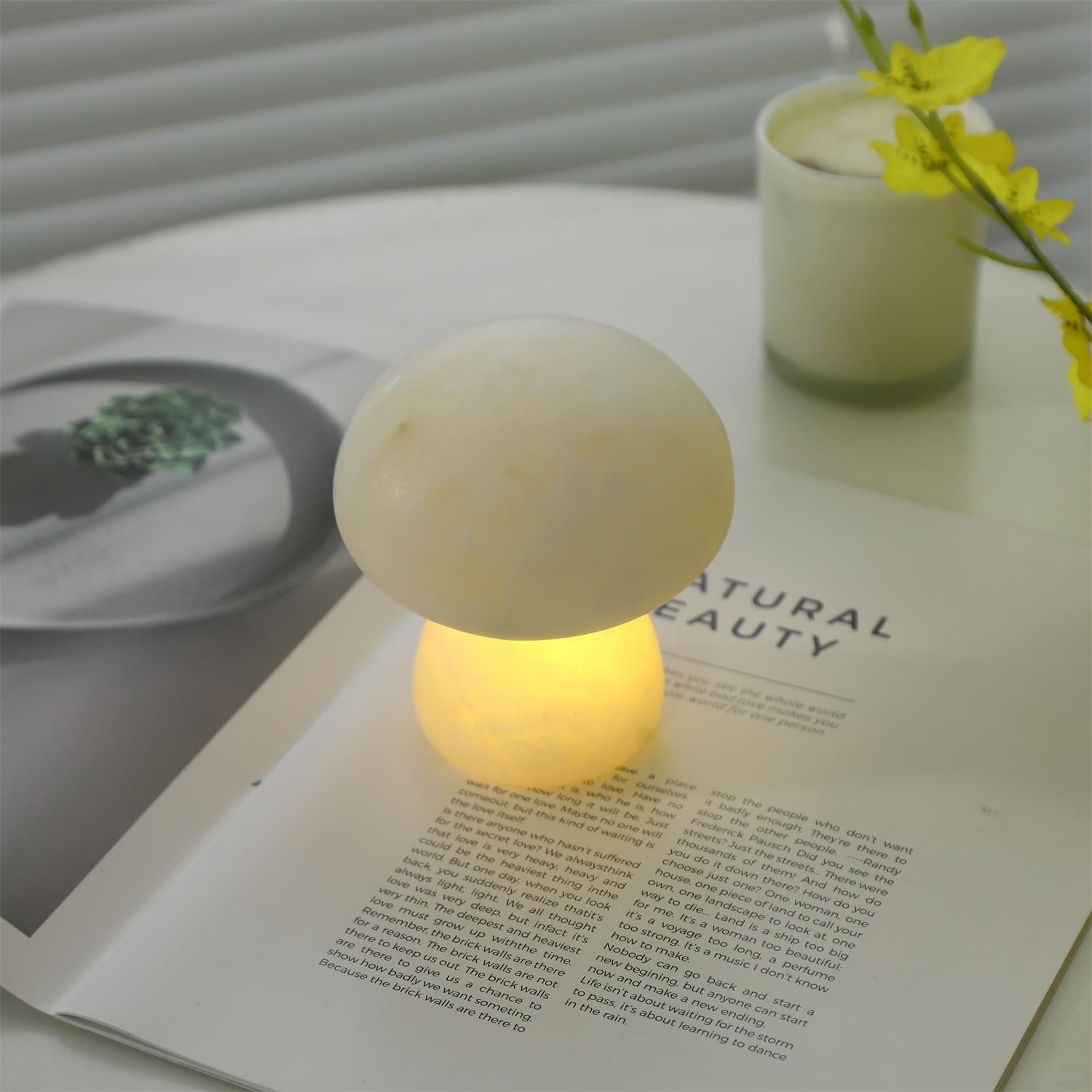 Fungi Table Lamp (built-in battery)