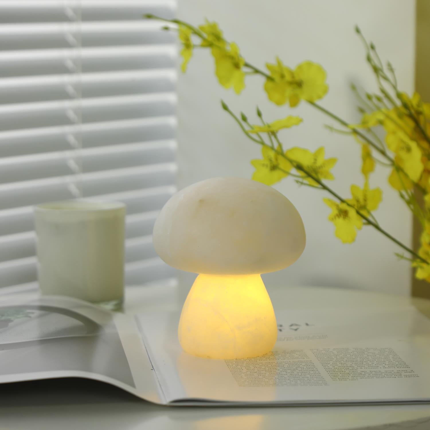 Fungi Table Lamp (built-in battery)