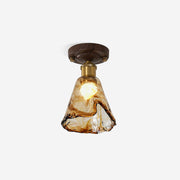 Orelariella Ceiling Light