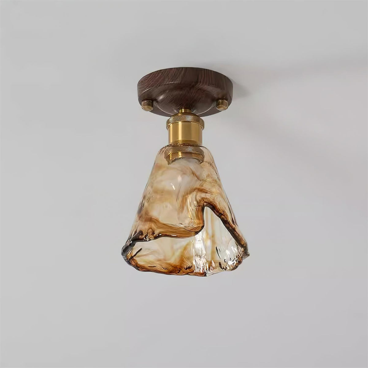 Orelariella Ceiling Light