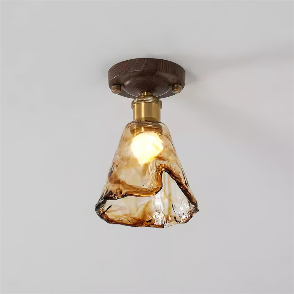 Orelariella Ceiling Light