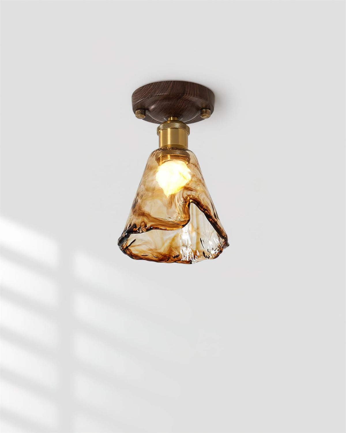 Orelariella Ceiling Light