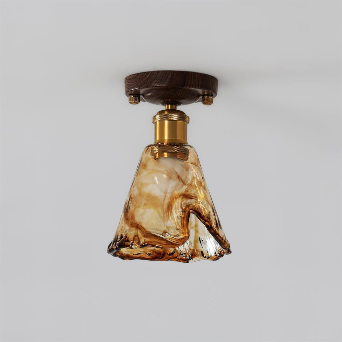 Orelariella Ceiling Light