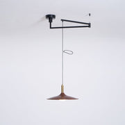 Qylor Swing Arm Pendant Lamp-Neutral Decor