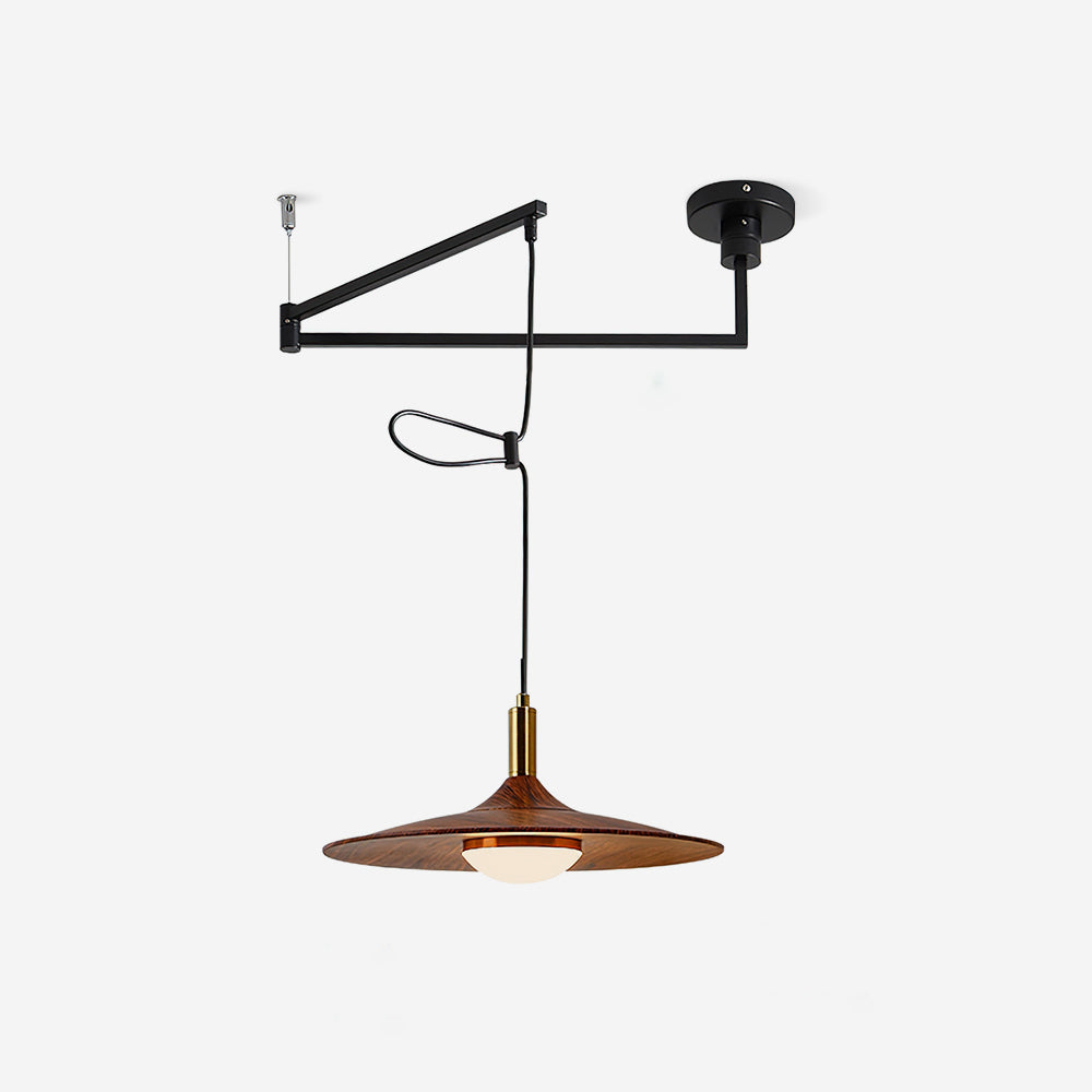 Veylo Adjustable Swing Arm Pendant Light