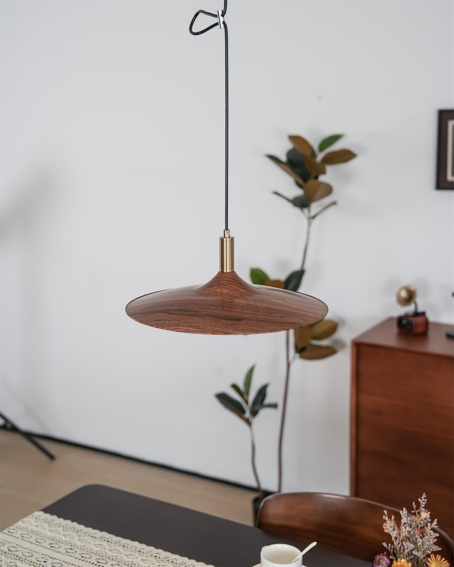 Veylo Adjustable Swing Arm Pendant Light