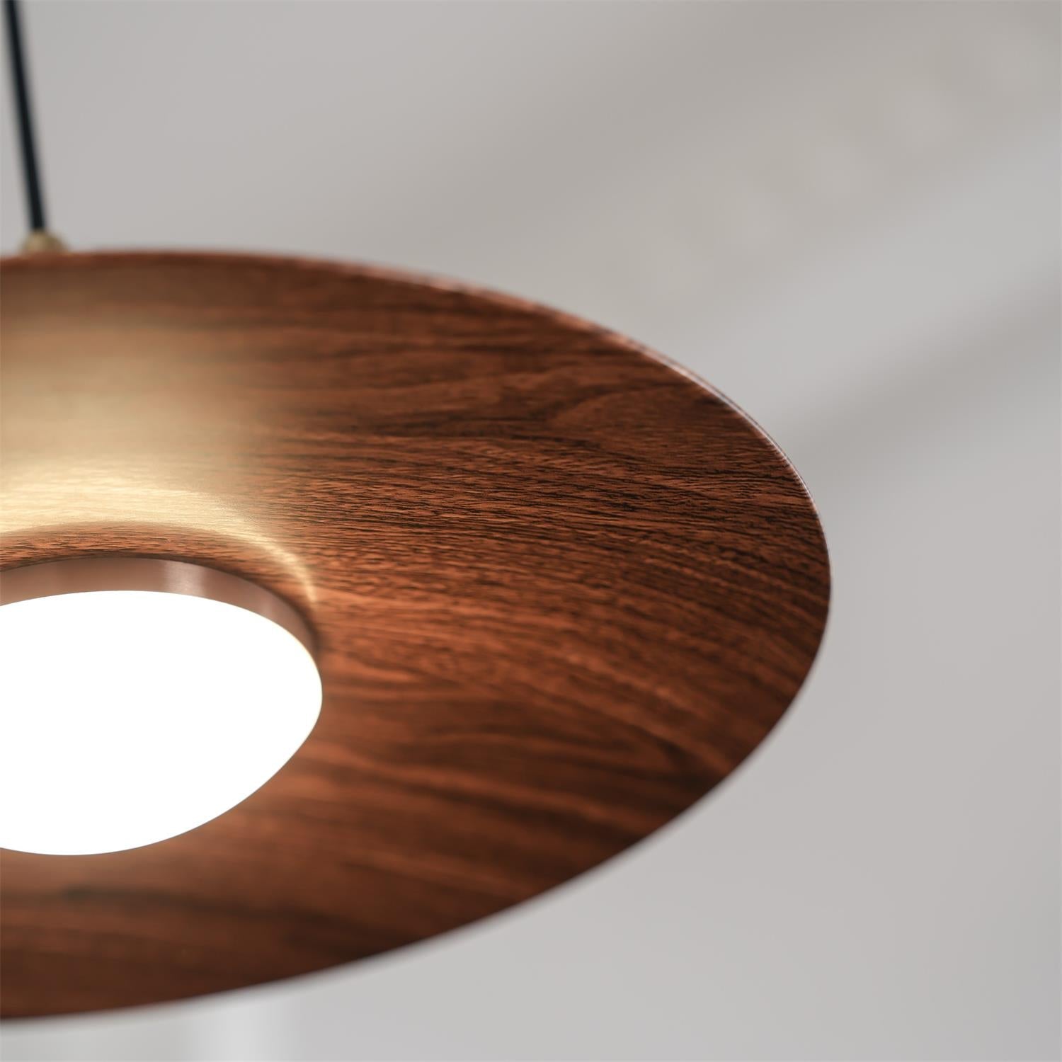 Veylo Adjustable Swing Arm Pendant Light