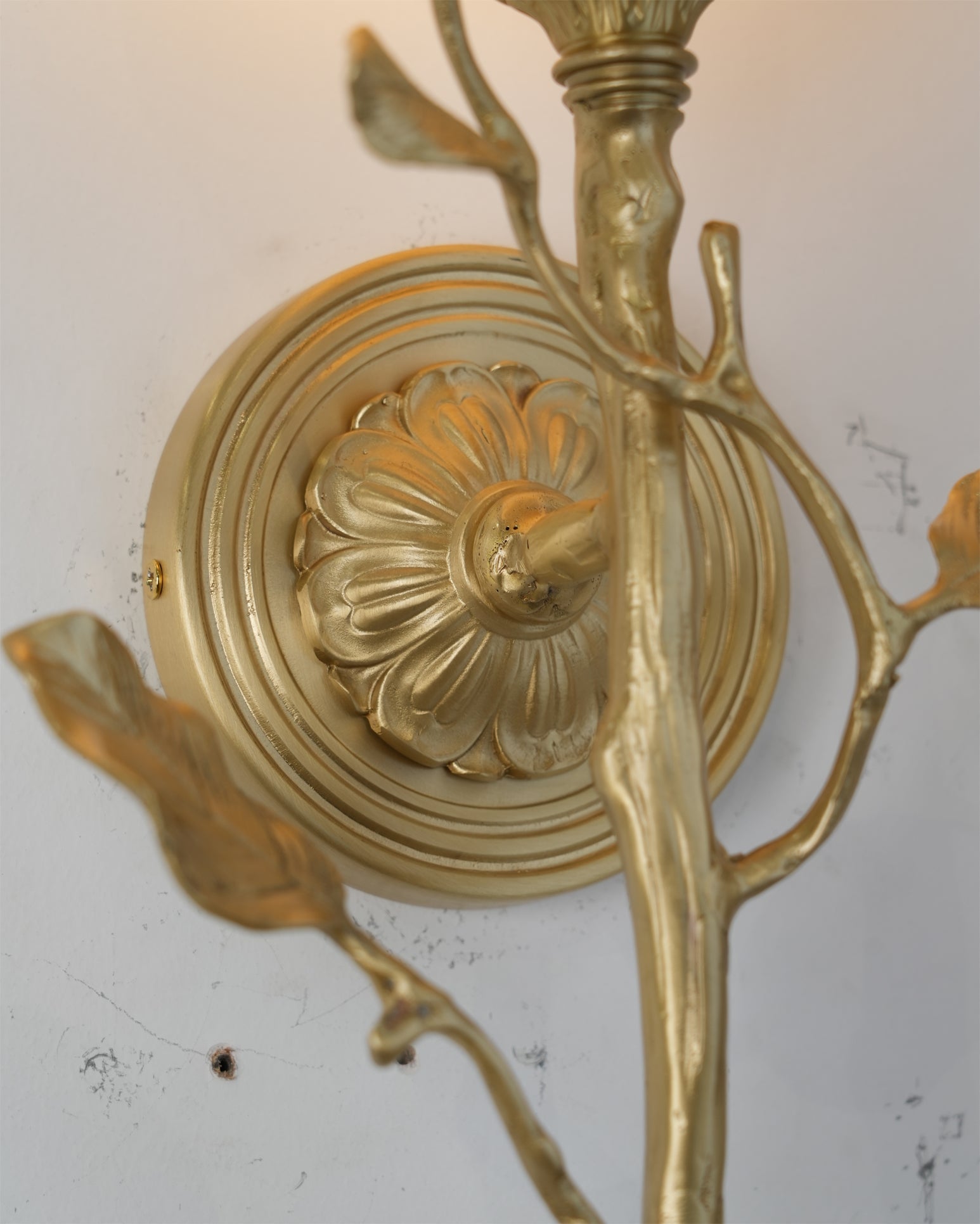 The Natalia Wall Sconce used as a bedside light in a contemporary bedroom.