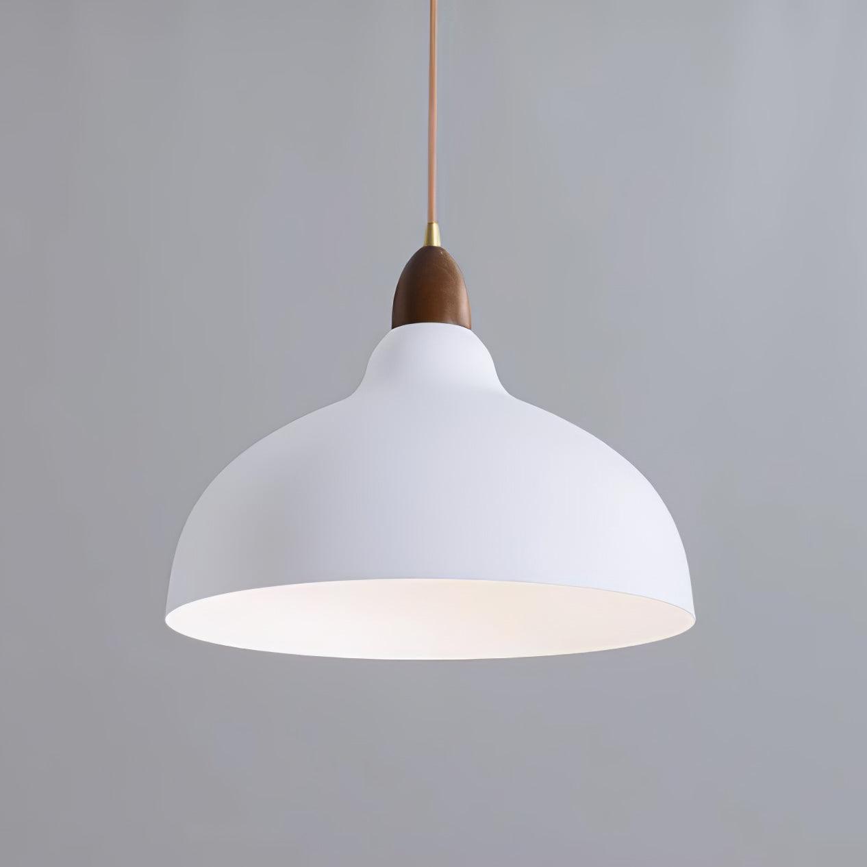 Silas Minimalist Pendant Lamp-Neutral Decor