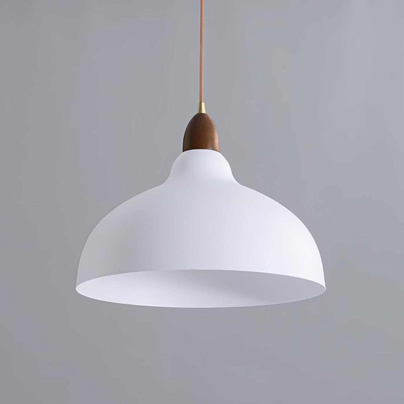 Silas Minimalist Pendant Lamp-Neutral Decor