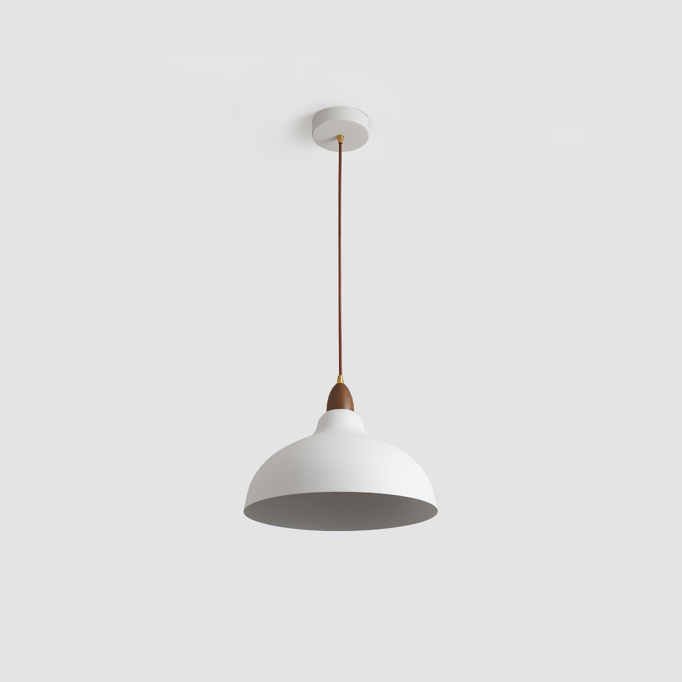 Silas Minimalist Pendant Lamp-Neutral Decor