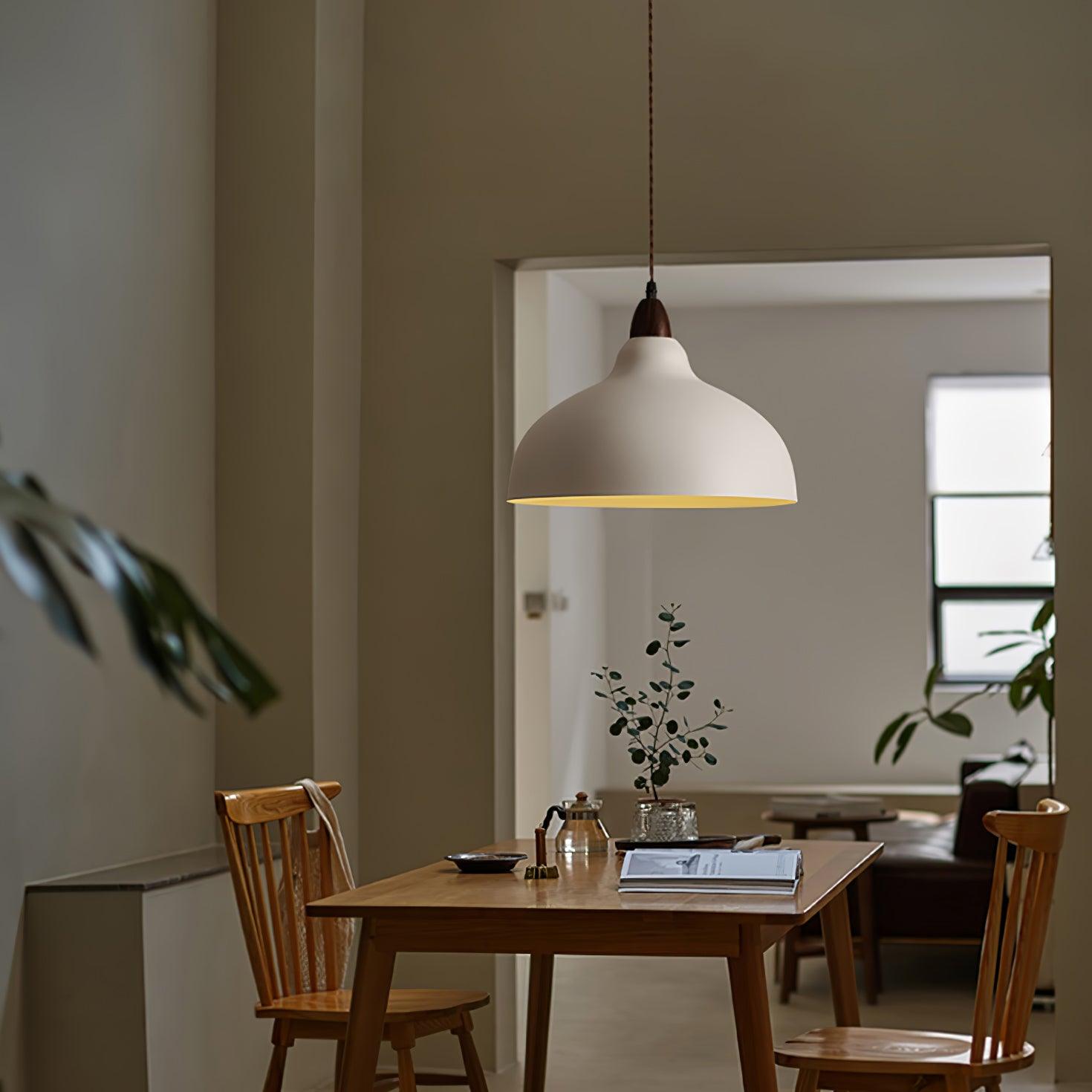 Silas Minimalist Pendant Lamp-Neutral Decor