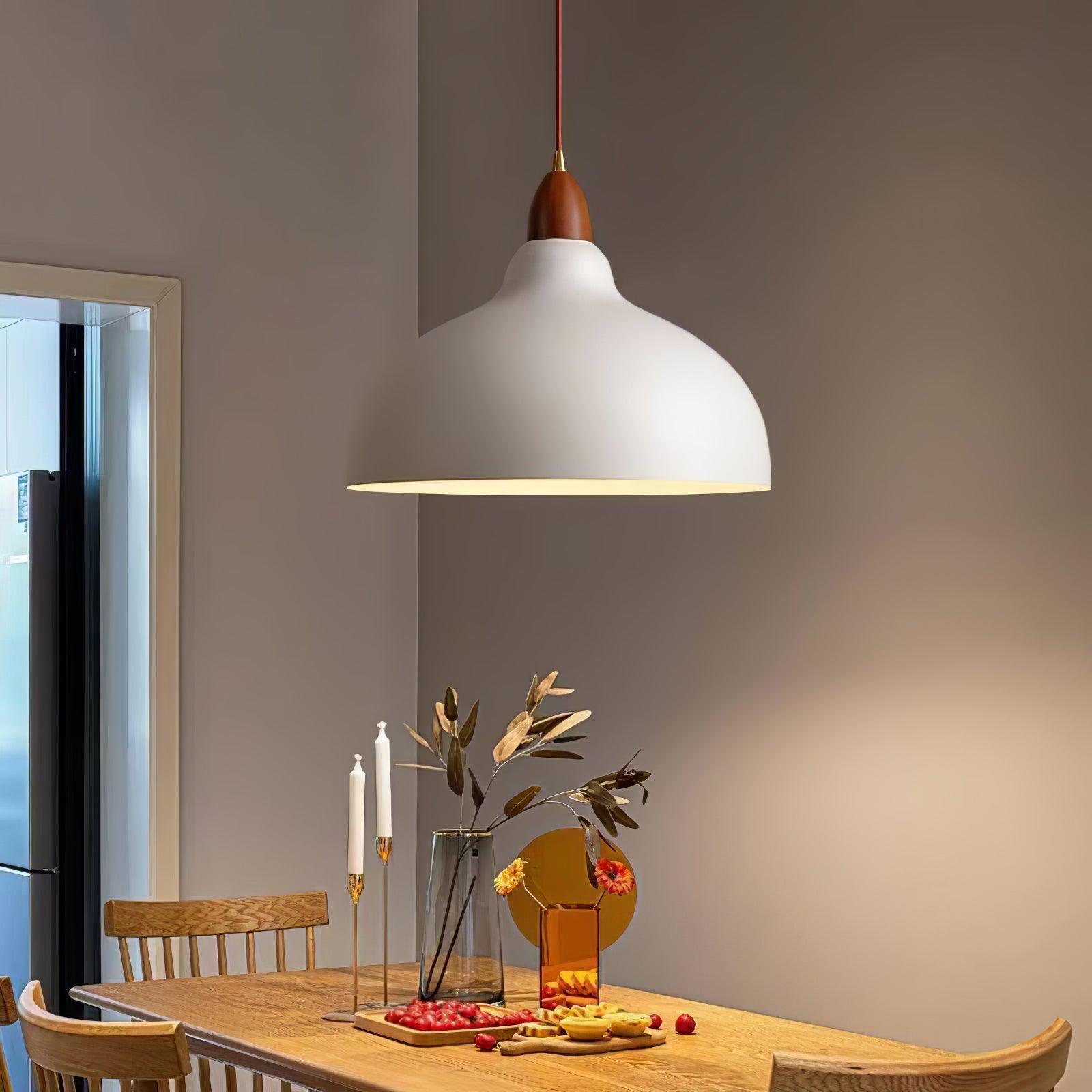 Silas Minimalist Pendant Lamp-Neutral Decor