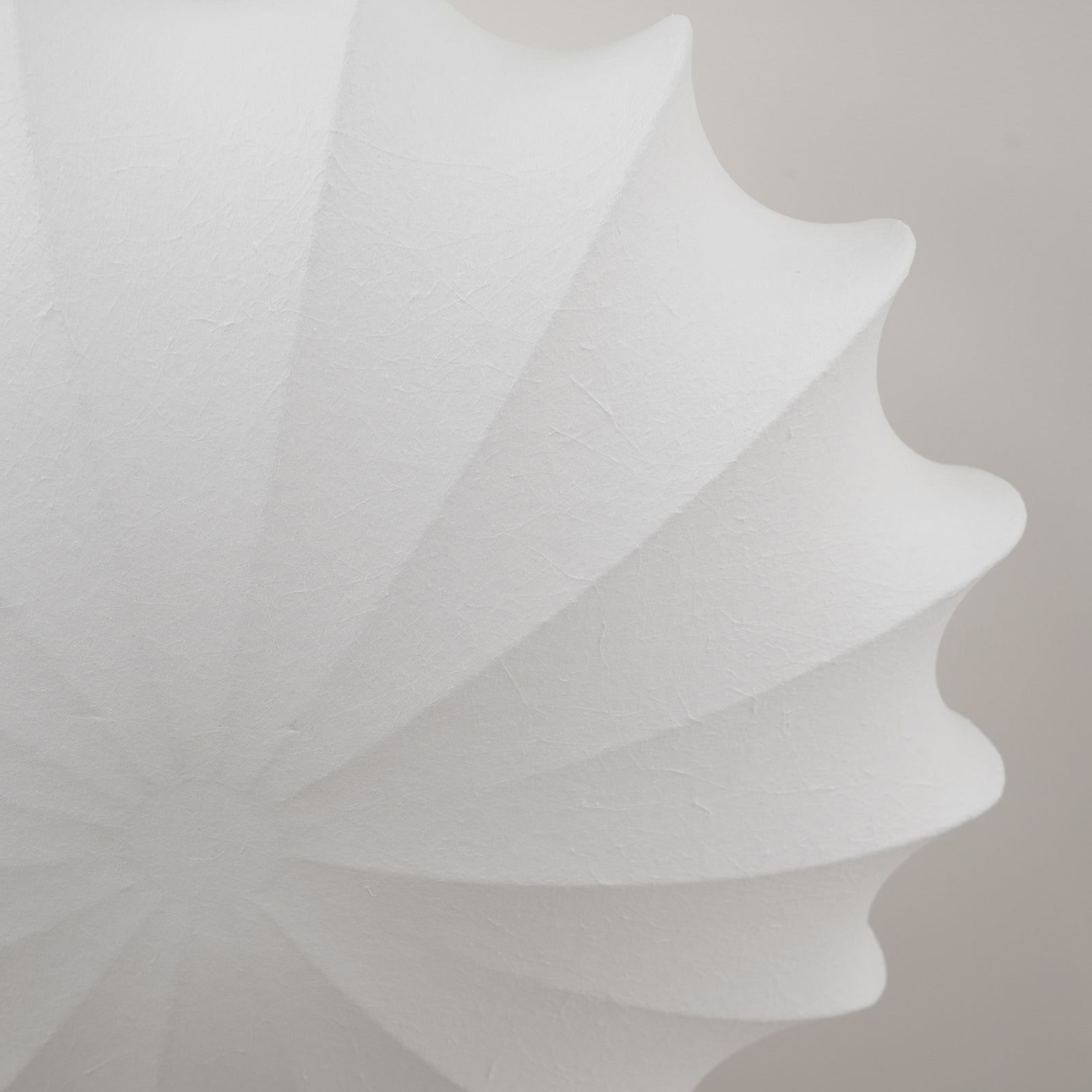 Blan Ceiling Light Seashell Simplicity - Neutral Decor