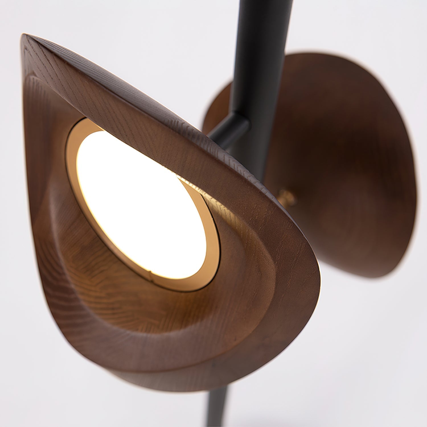 Ceyran Double Sphere Black Floor Lamp-Neutral Decor