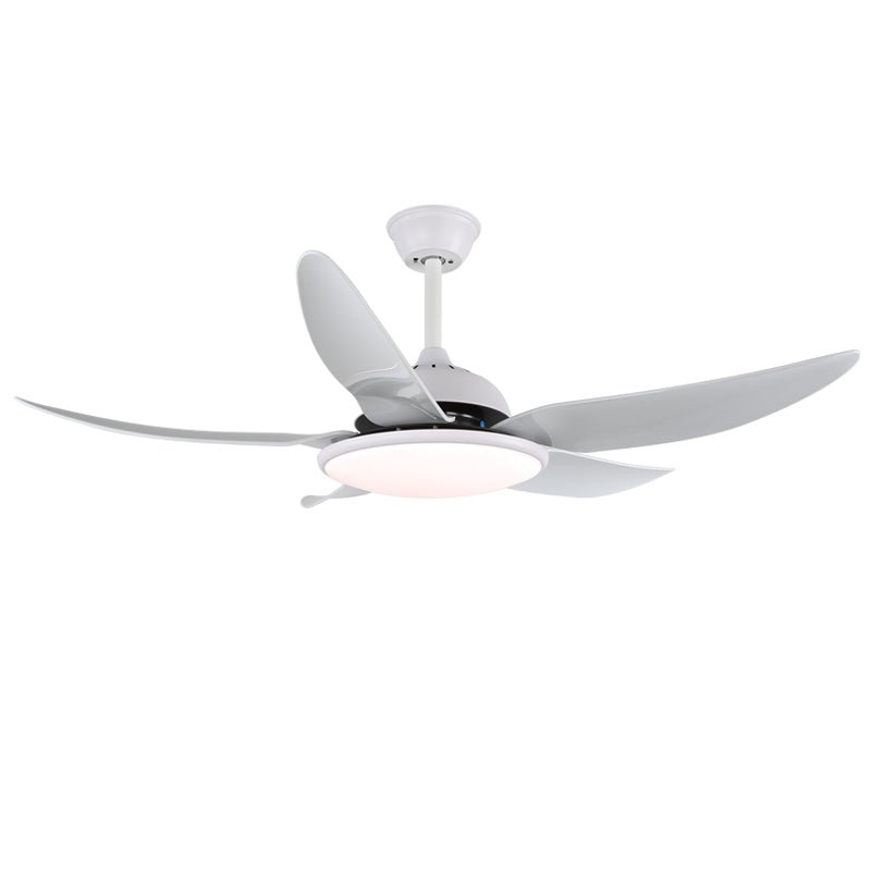 Aquila Modern Ceiling Fan Light-Neutral Decor
