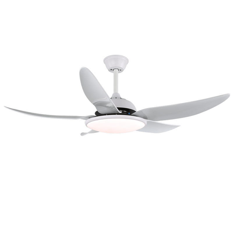 Aquila Modern Ceiling Fan Light-Neutral Decor