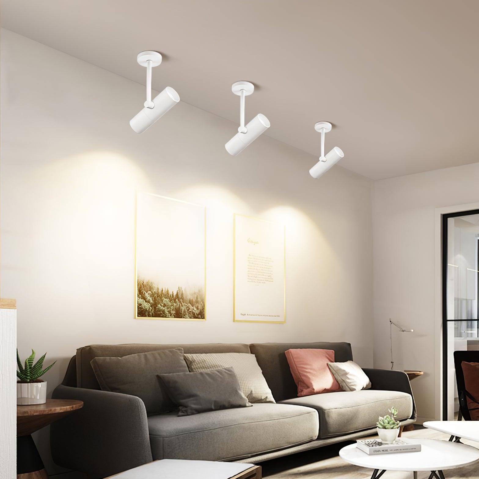 Divi Ceiling Light Cylinder Spotlight Industrial for Loft Study-Neutral Decor
