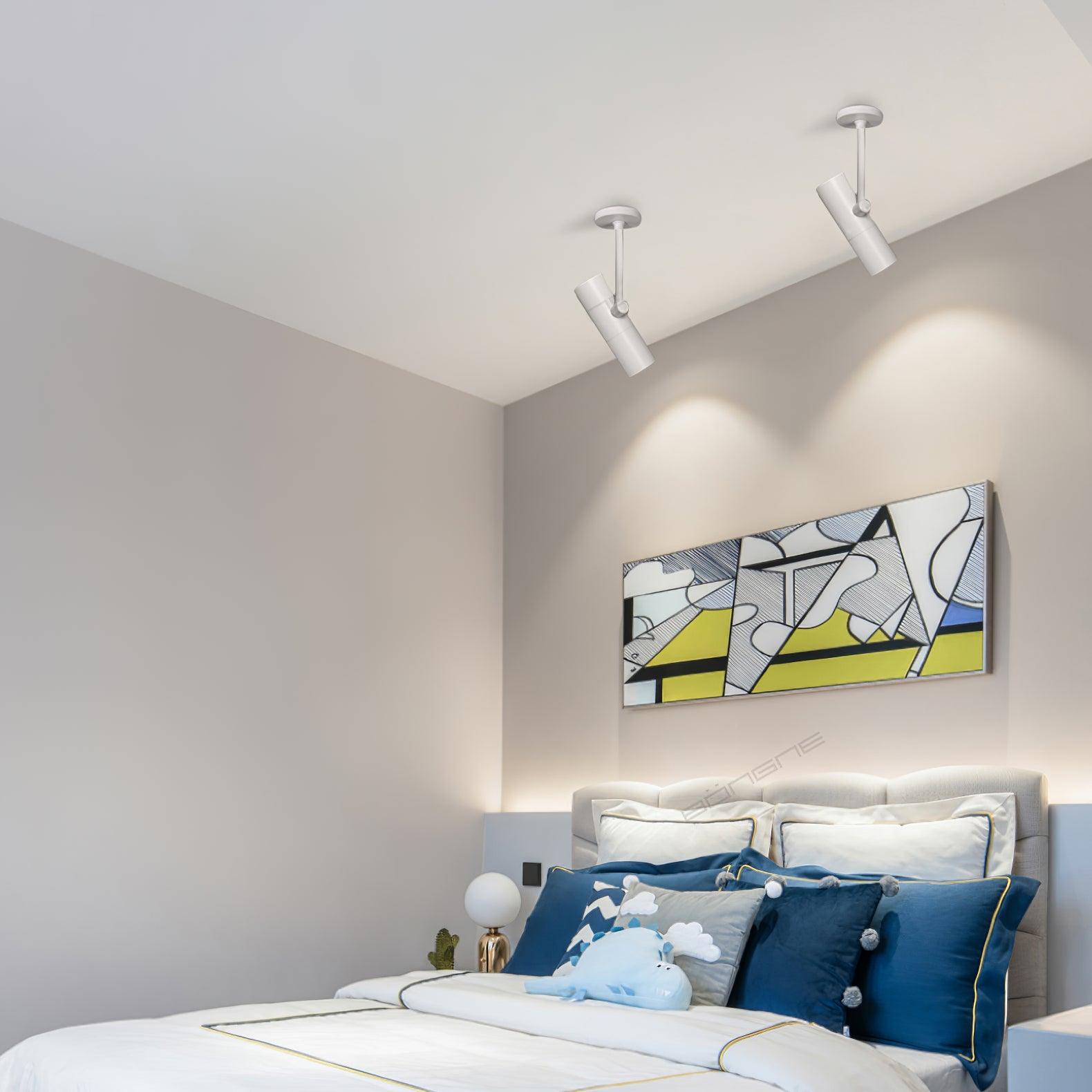 Divi Ceiling Light Cylinder Spotlight Industrial for Loft Study-Neutral Decor