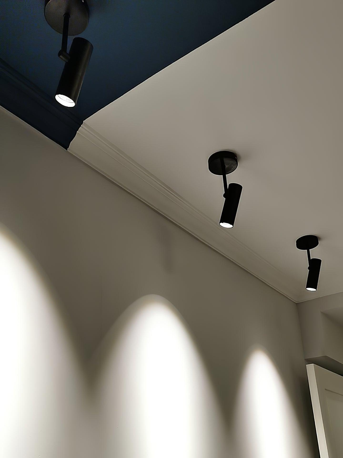 Divi Ceiling Light Cylinder Spotlight Industrial for Loft Study-Neutral Decor