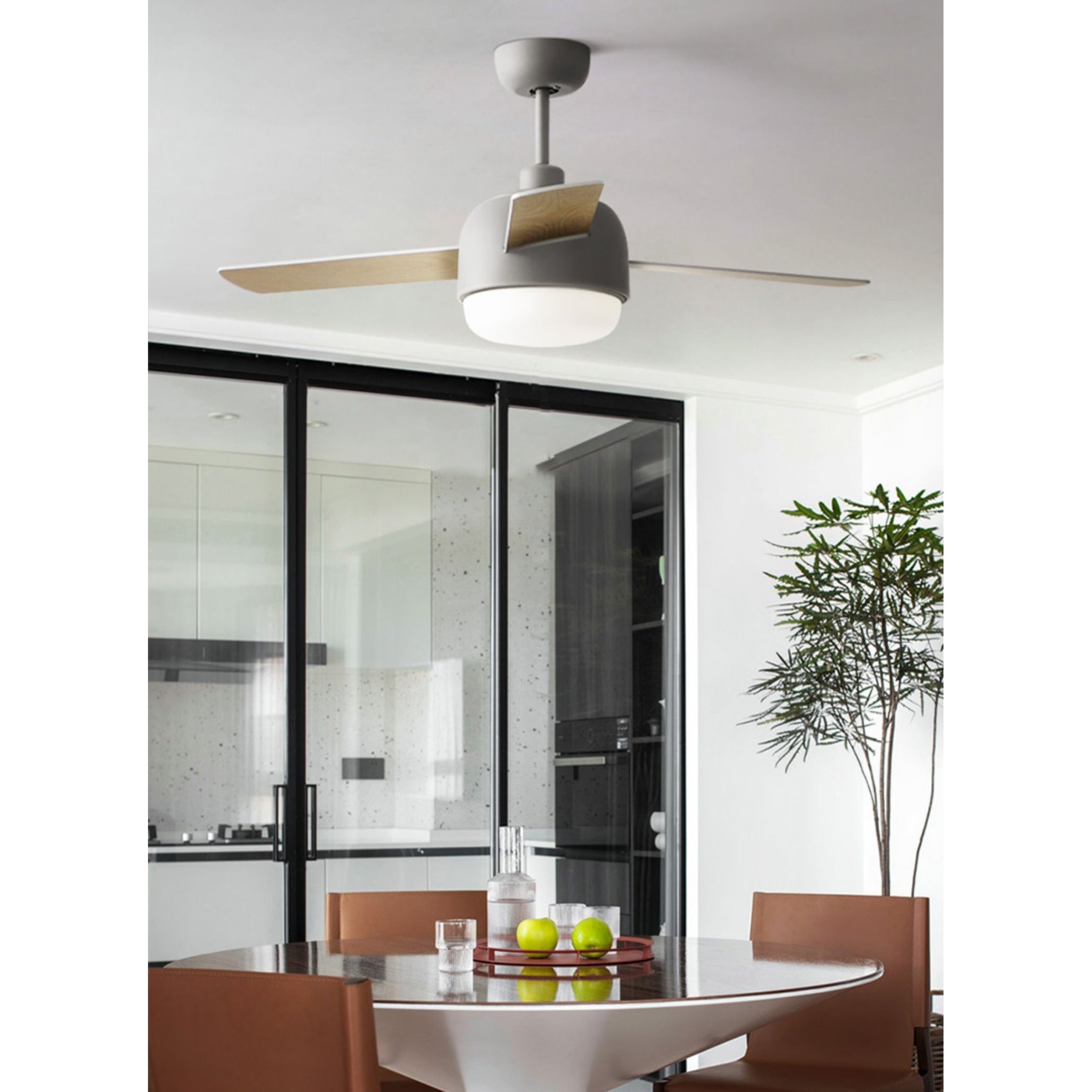 Lioran Ceiling Fan Light