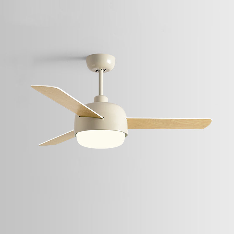 Lioran Ceiling Fan Light