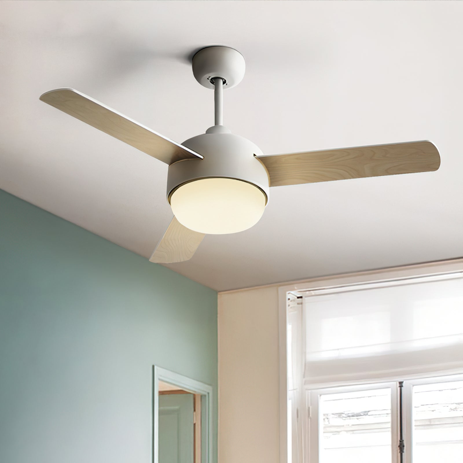 Lioran Ceiling Fan Light