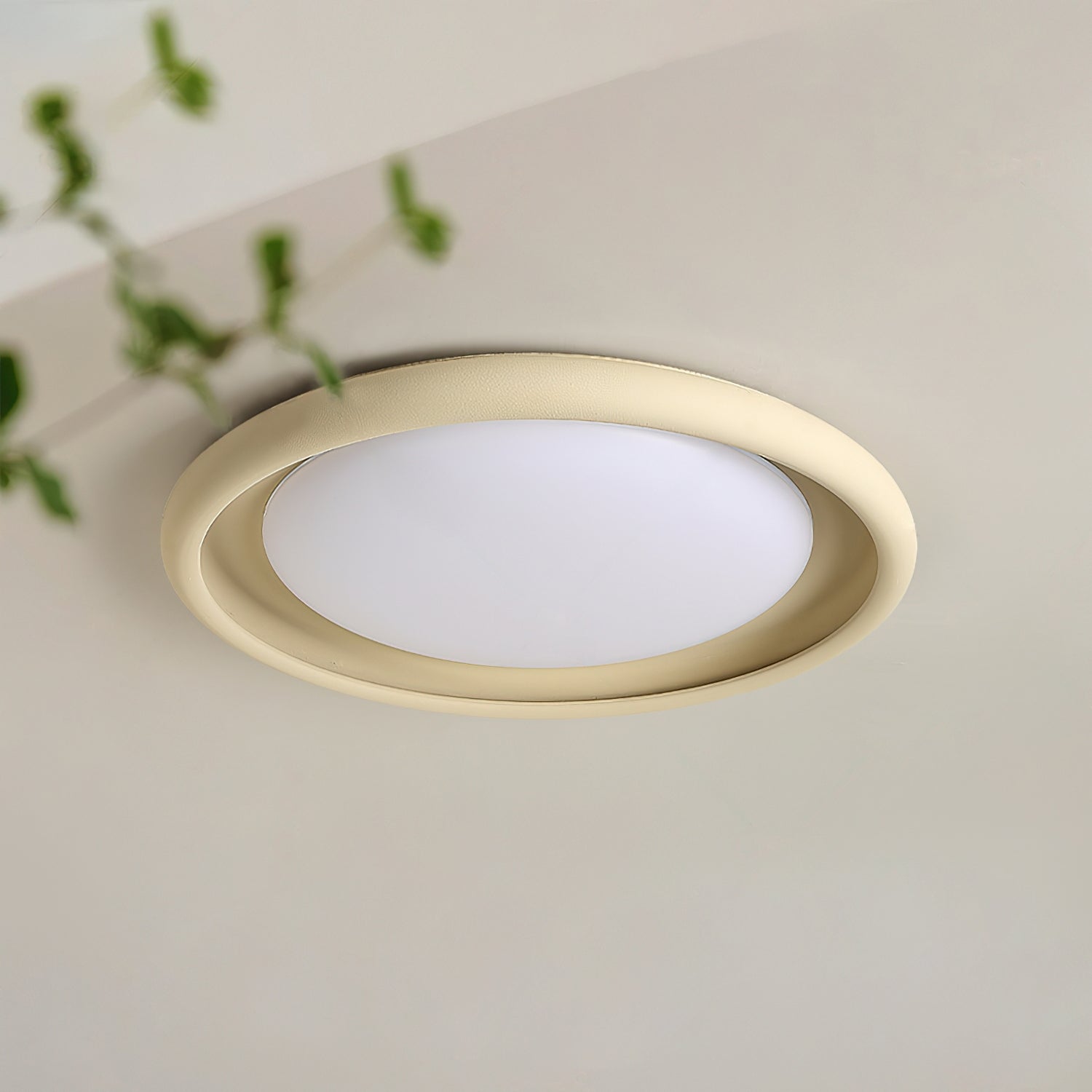 Pinnel Ceiling Light