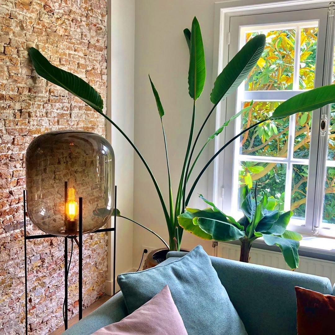 Fioris Glass Industrial Floor lamp-Neutral Decor
