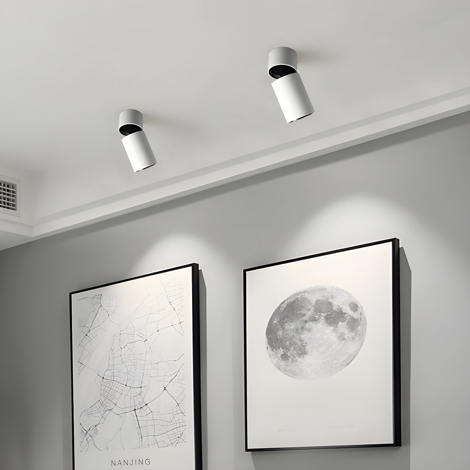 Colven Classic Tube Surface Downlight Ceiling lamp-Neutral Decor