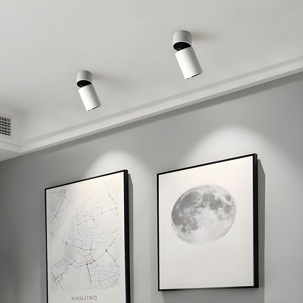 Colven Classic Tube Surface Downlight Ceiling lamp-Neutral Decor