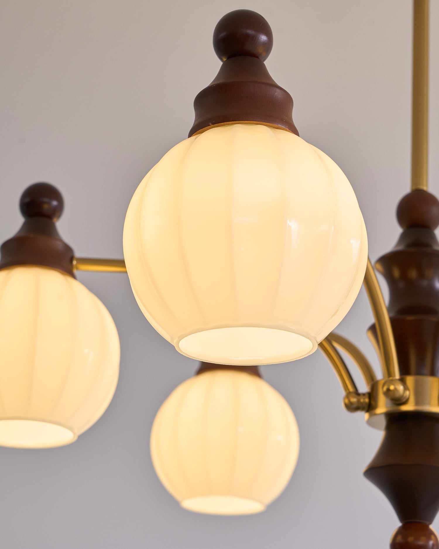 Jago Chandelier Blossom with Glass Shades-Neutral Decor