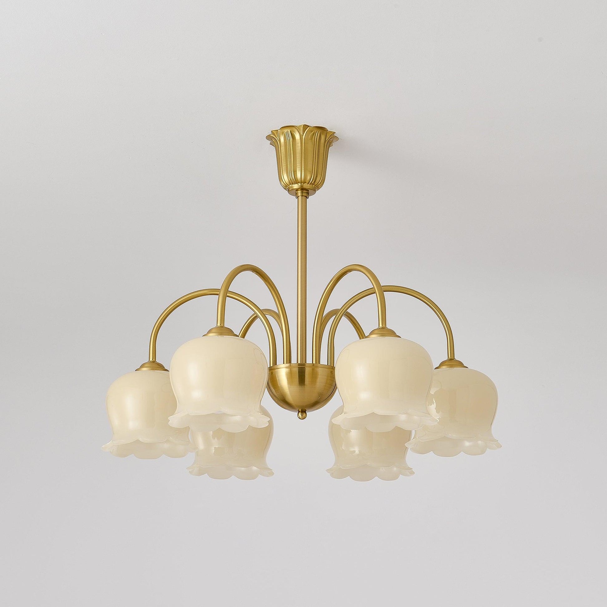 Lustra Chandelier Brass Elegant Curved Arm-Neutral Decor