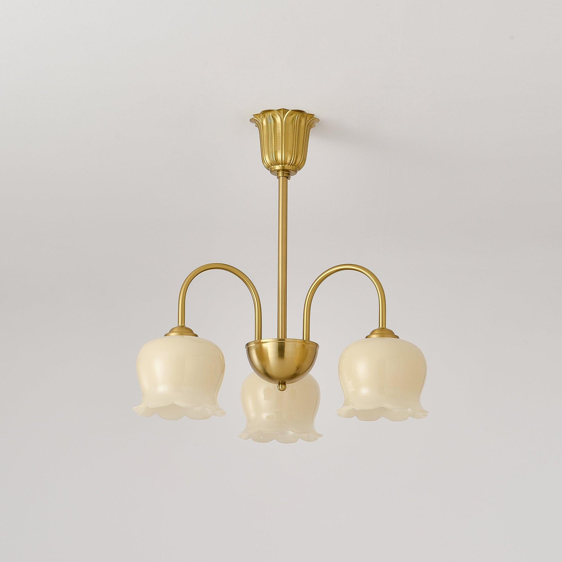 Lustra Chandelier Brass Elegant Curved Arm-Neutral Decor