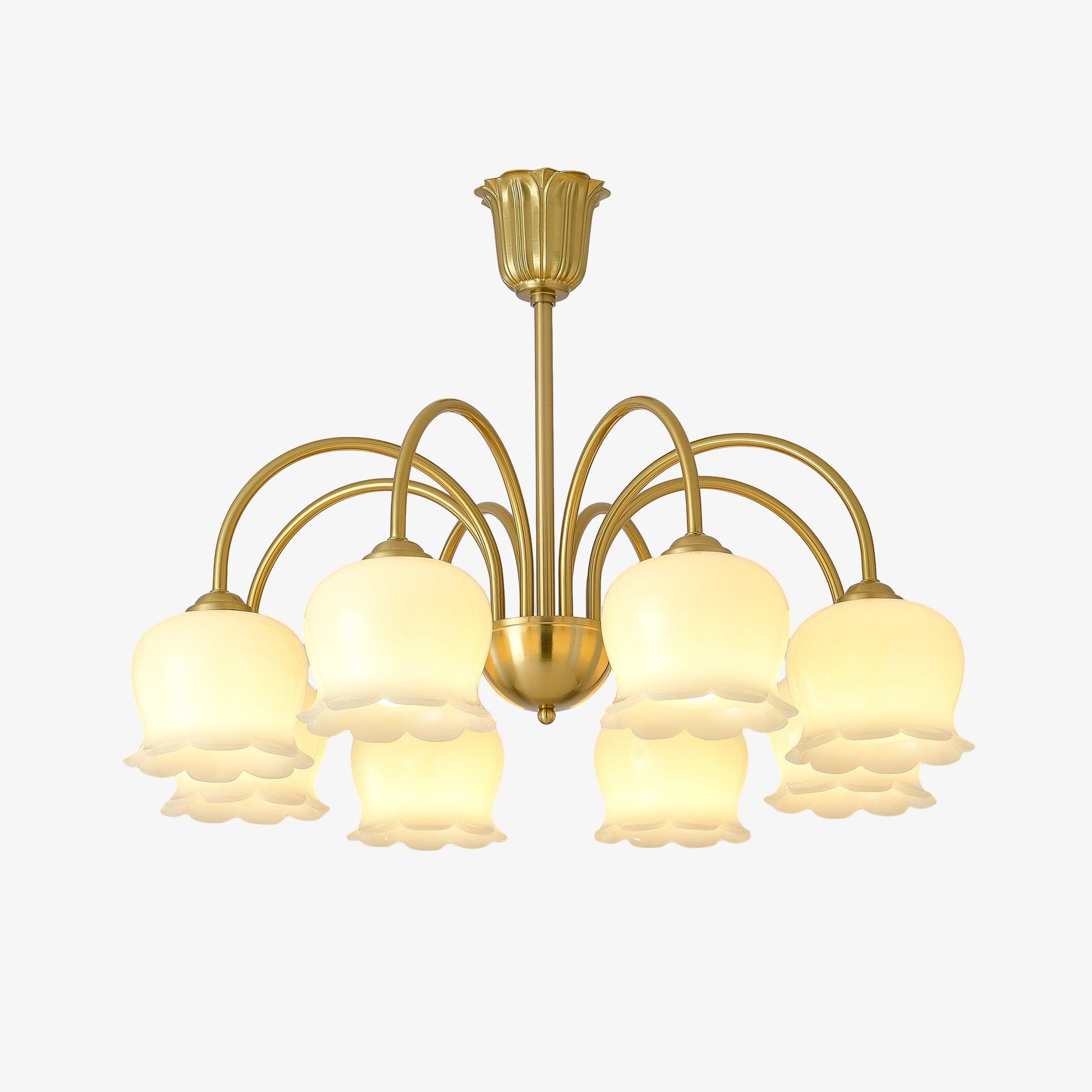Lustra Chandelier Brass Elegant Curved Arm-Neutral Decor