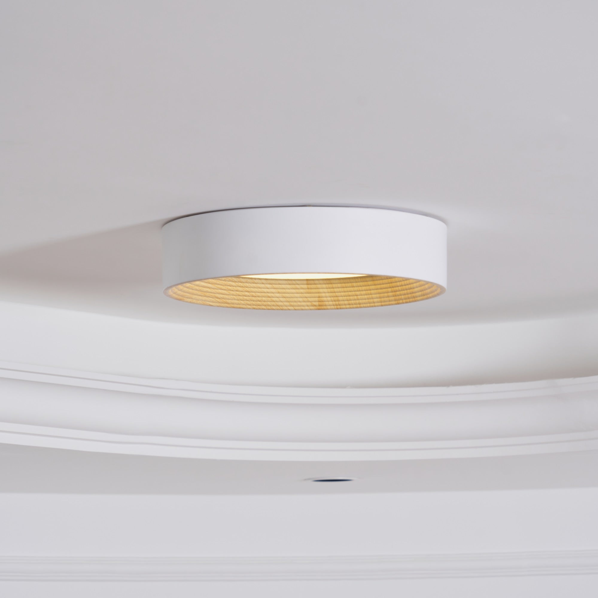 Veveny Ceiling Lamp Wood Ring Minimalist Adjustable-Neutral Decor