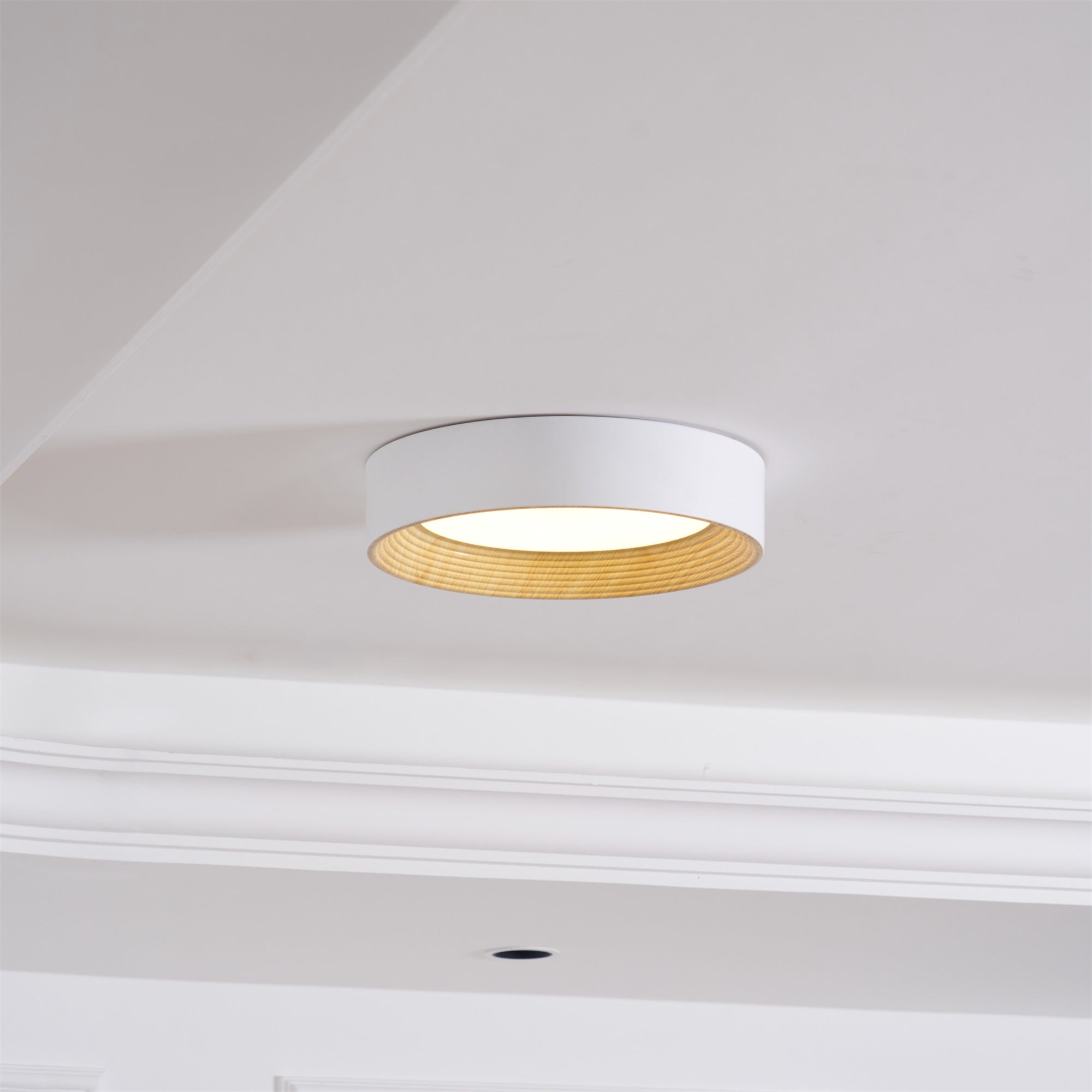 Veveny Ceiling Lamp Wood Ring Minimalist Adjustable-Neutral Decor