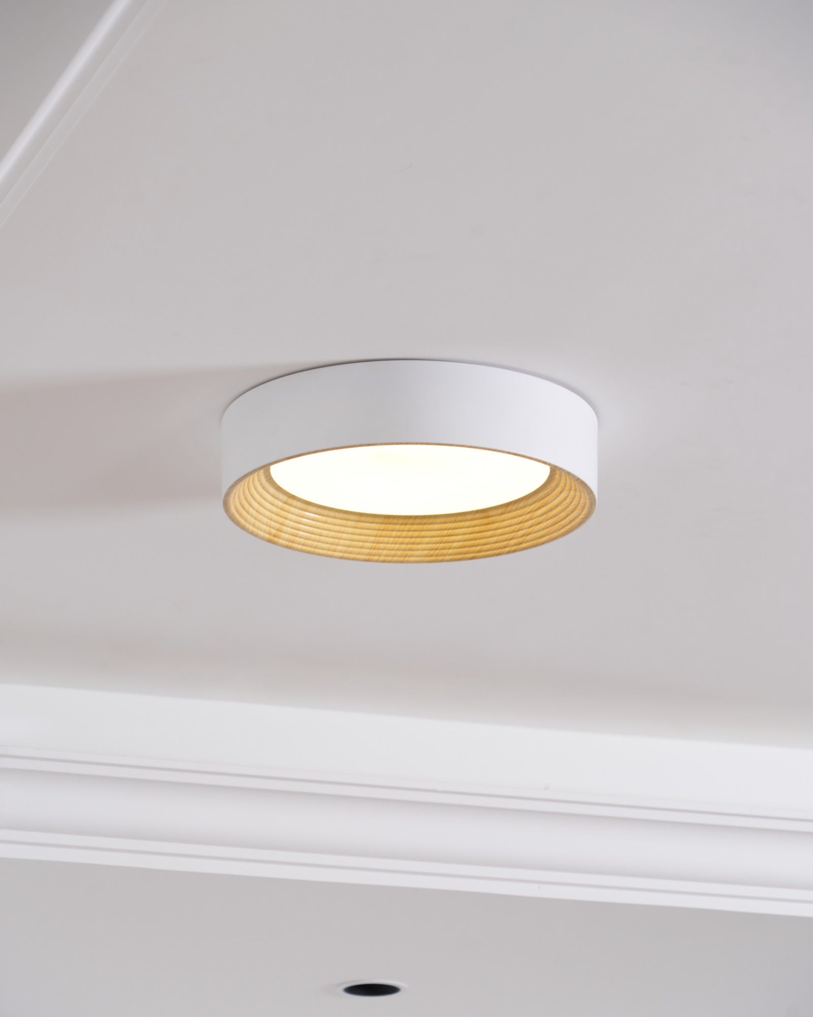 Veveny Ceiling Lamp Wood Ring Minimalist Adjustable-Neutral Decor