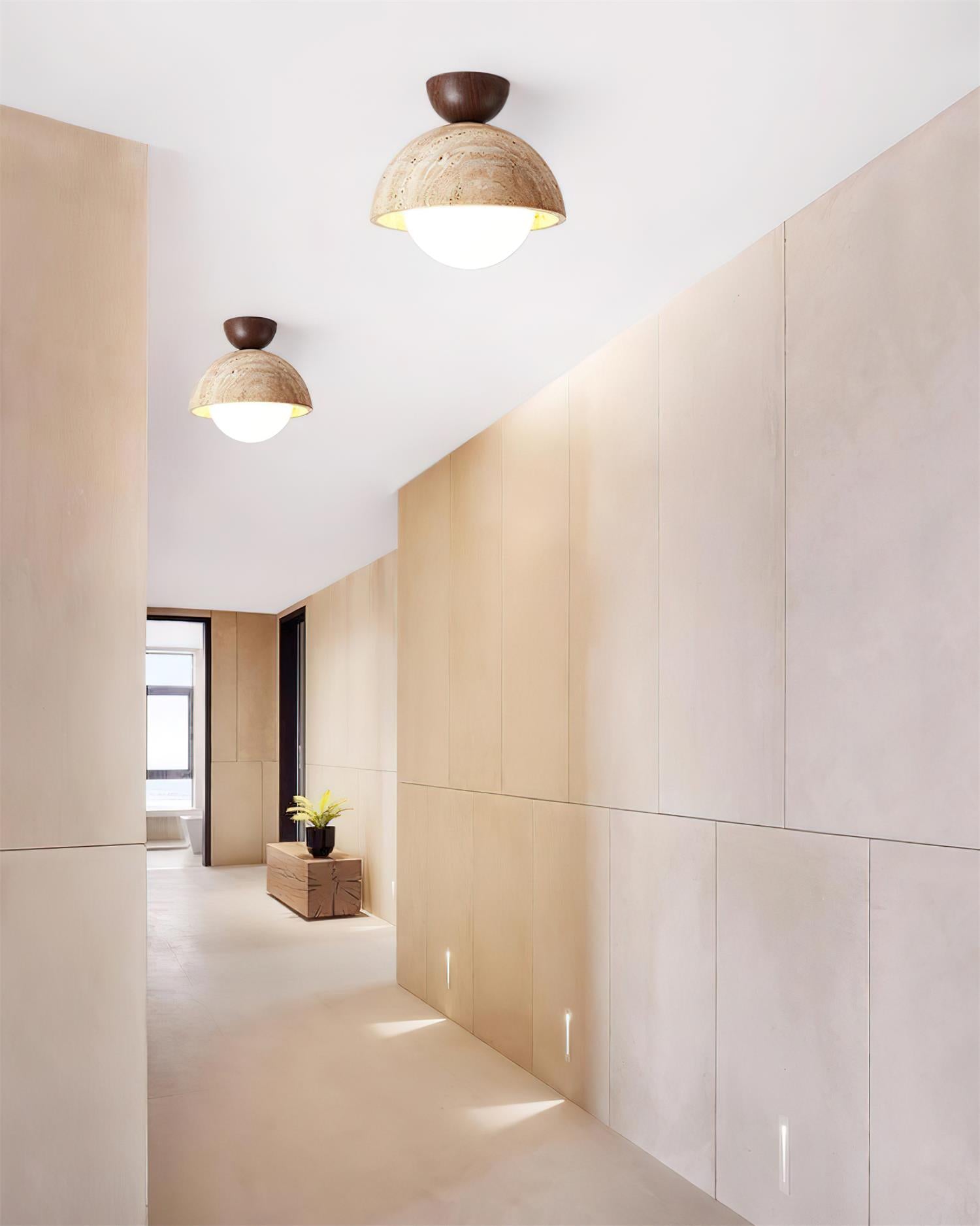 Cedran Ceiling Light