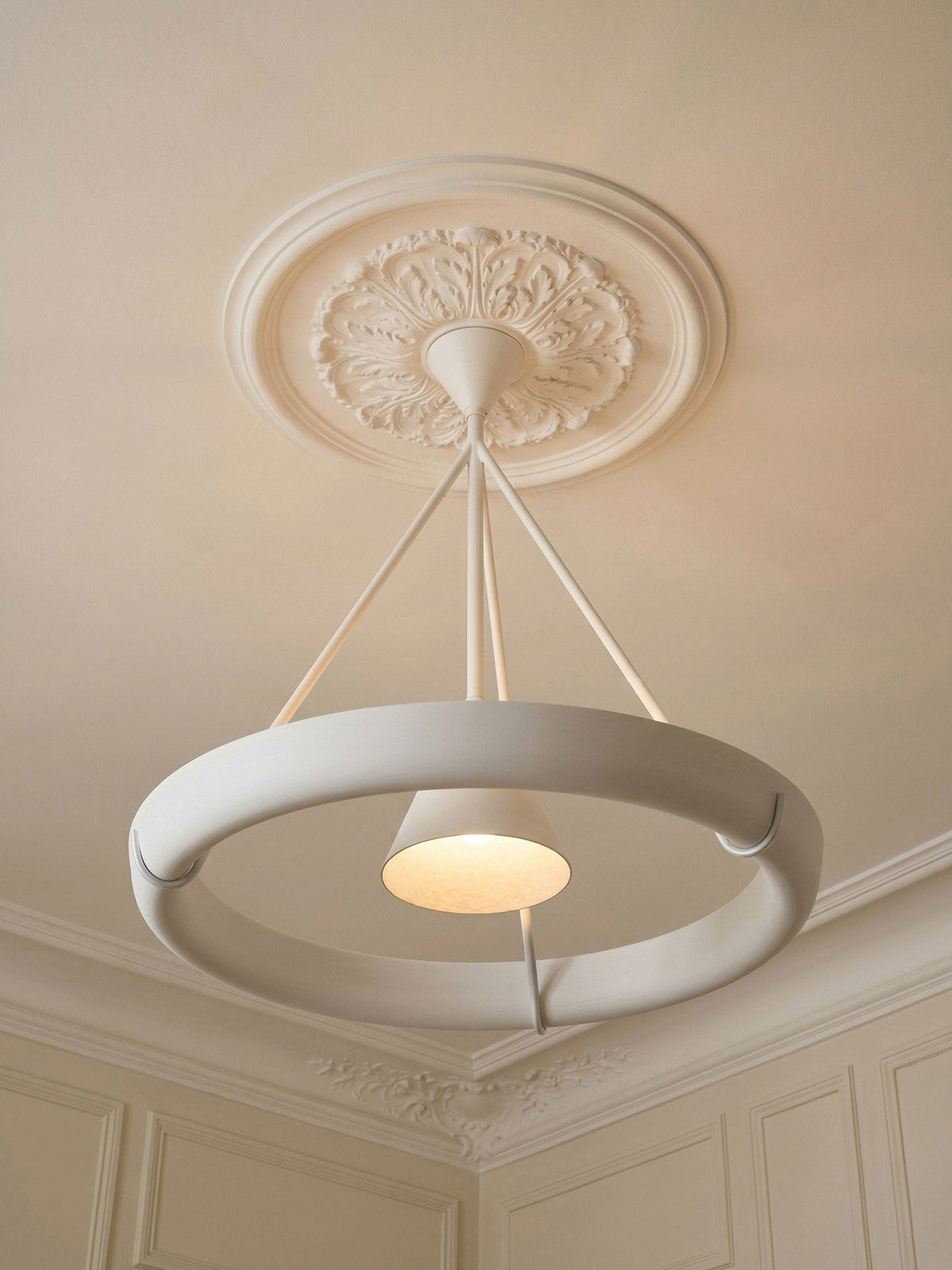 Rivergrove Halo Art Chandelier
