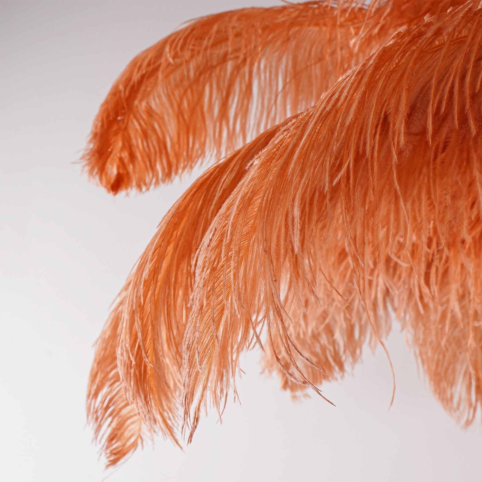 Selis Feather Brass Floor Lamp-Neutral Decor