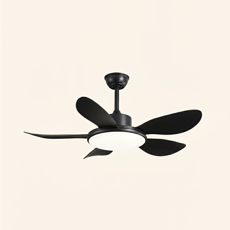 Rowan Ceiling Fan Light