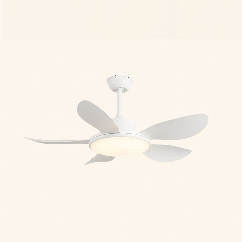 Top-down view of the ceiling fan's mounting canopy.
